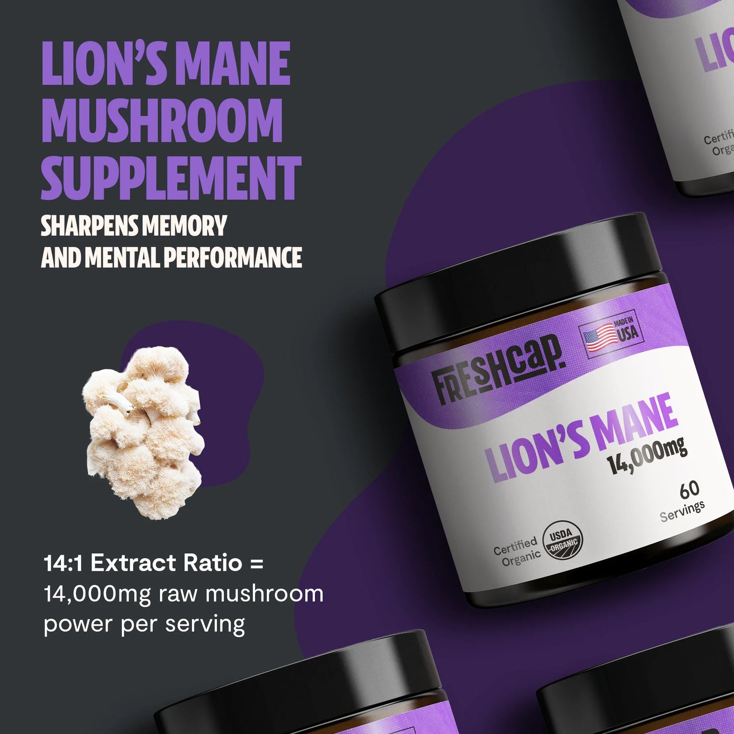 Lion's Mane Mushroom Extract Powder - Concordia Style Boutique