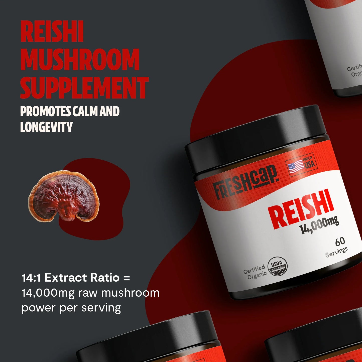 Reishi Mushroom Extract Powder - Concordia Style Boutique