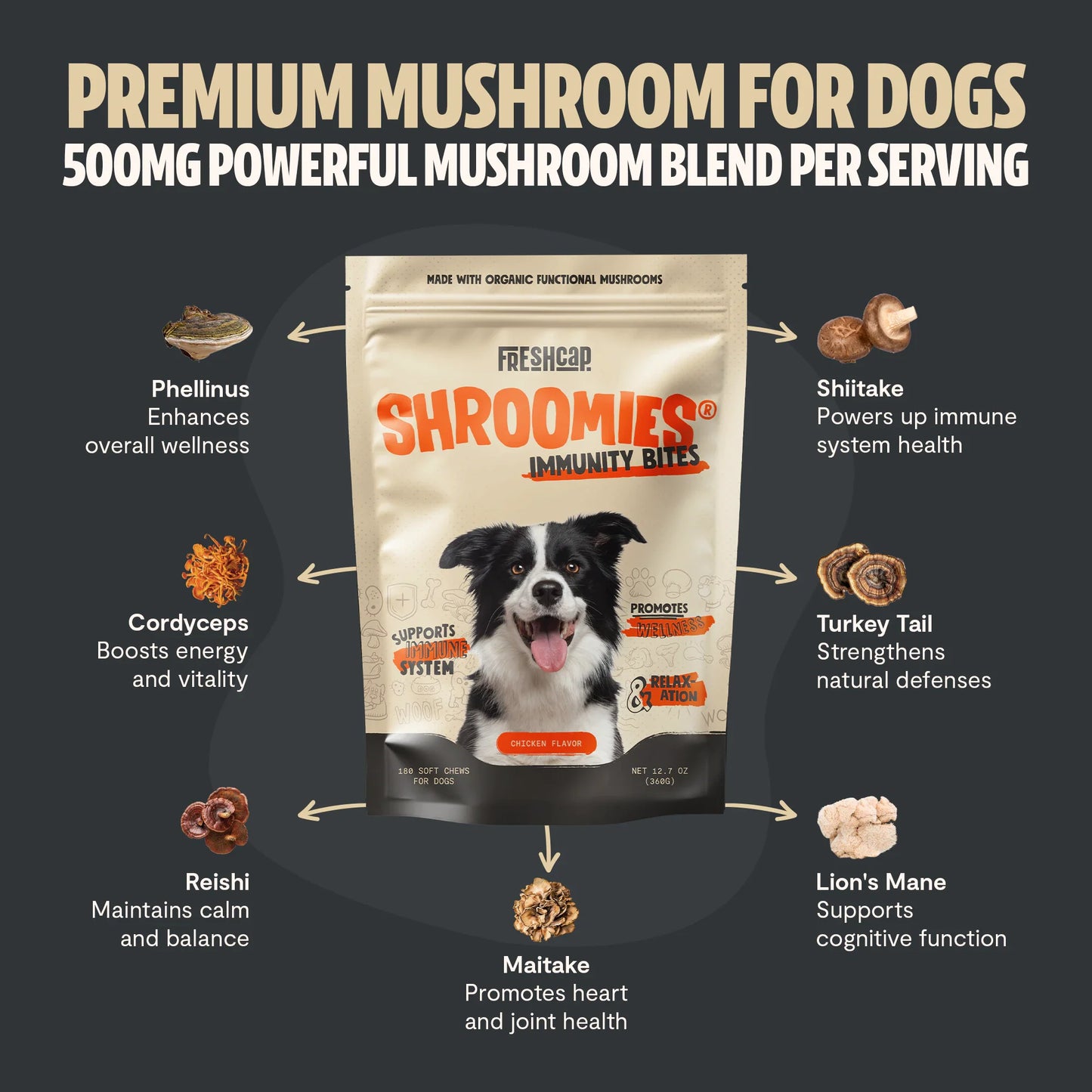 Shroomies® - Mushrooms For Dogs - Concordia Style Boutique
