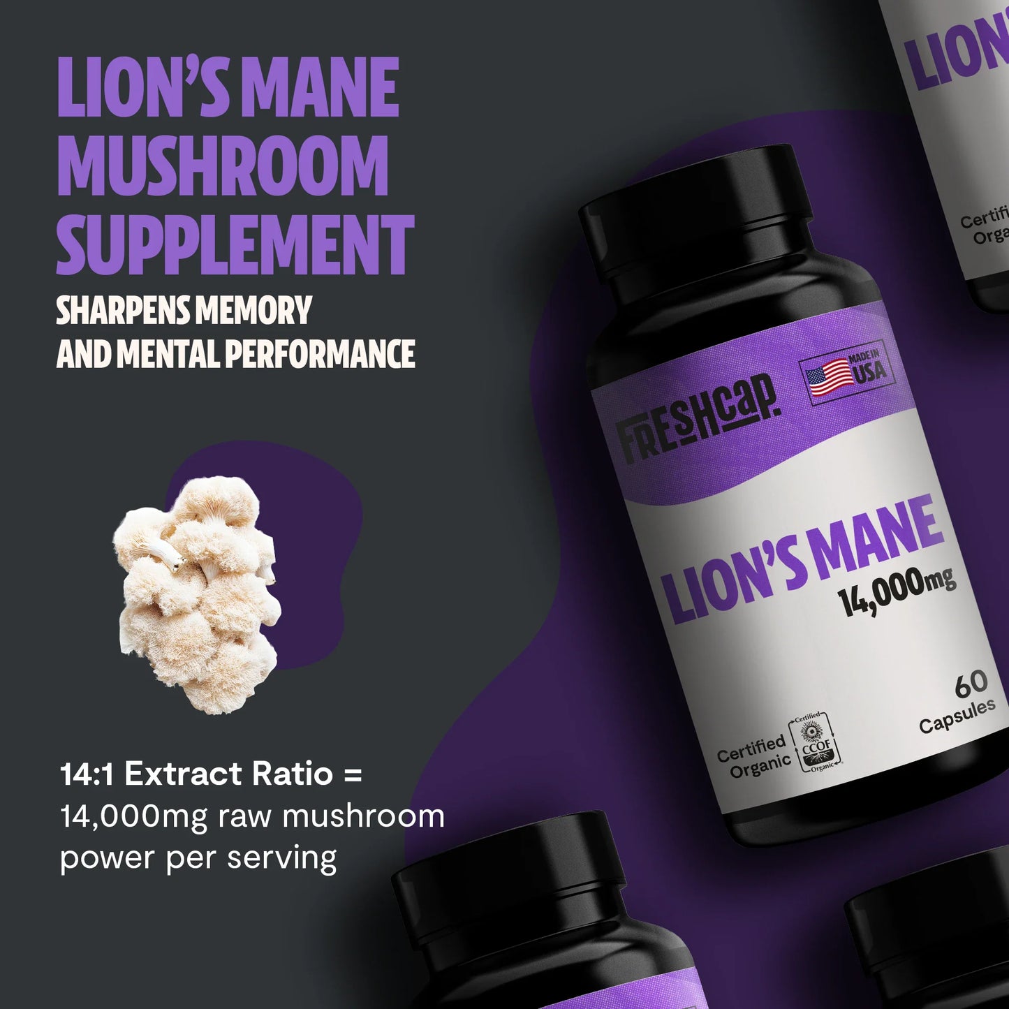 Lion's Mane Mushroom Extract Capsules - Concordia Style Boutique