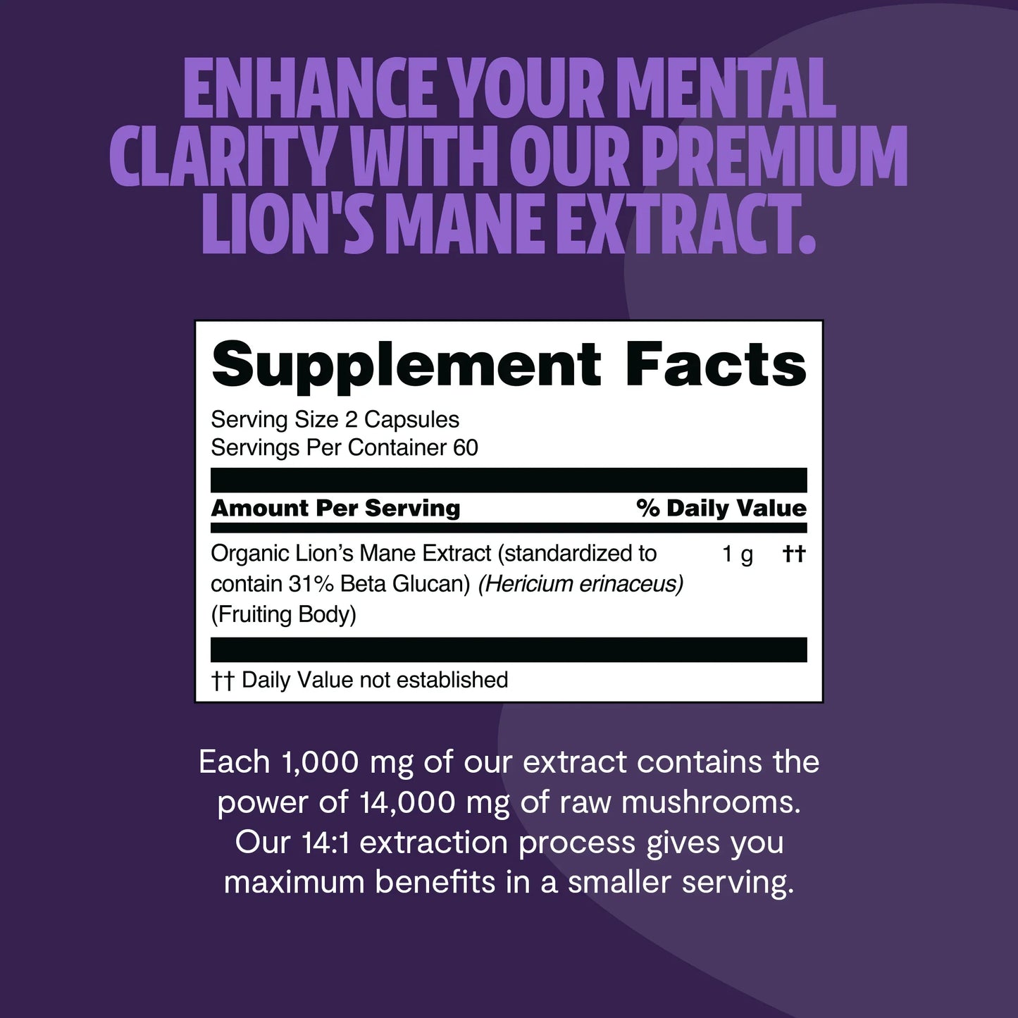 Lion's Mane Mushroom Extract Capsules - Concordia Style Boutique