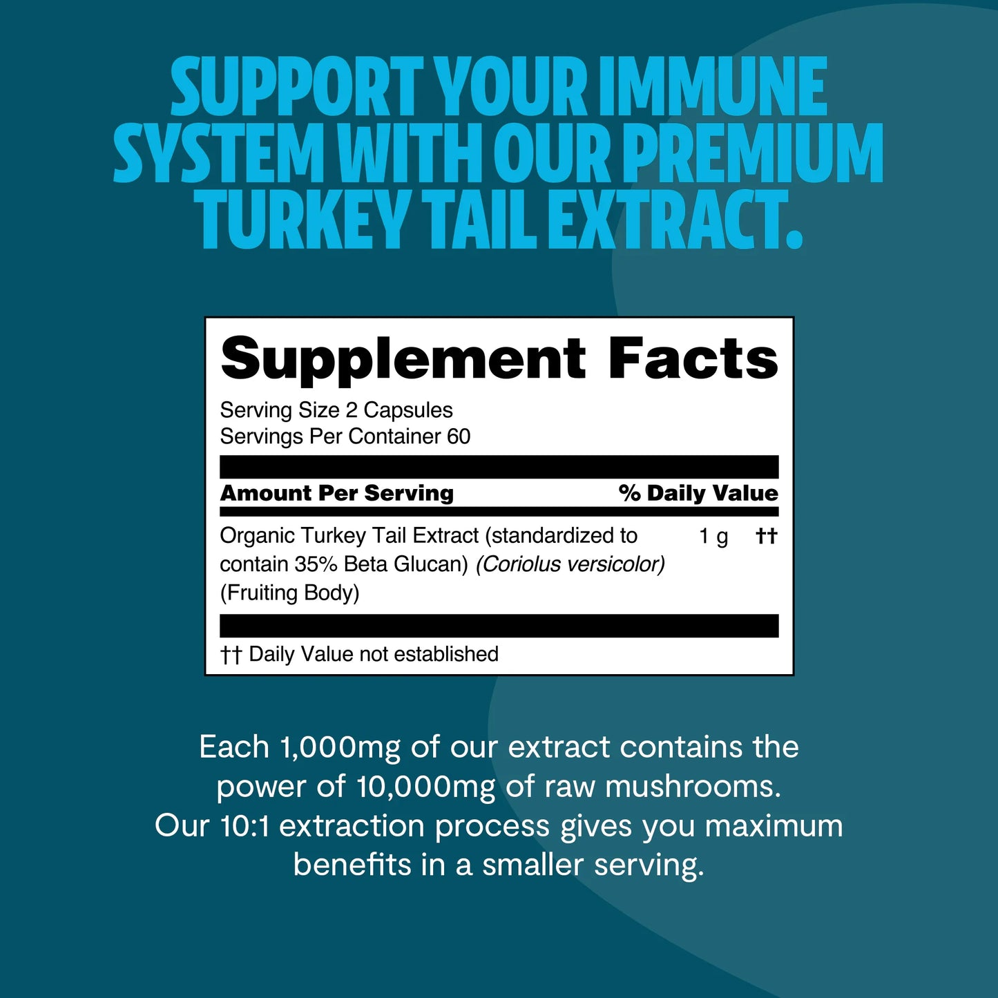Turkey Tail Mushroom Extract Capsules - Concordia Style Boutique