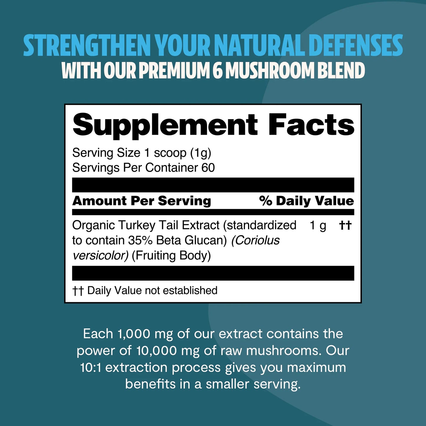 Turkey Tail Mushroom Extract Powder - Concordia Style Boutique