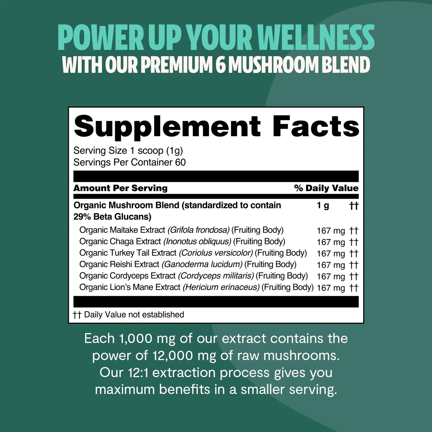 Ultimate Mushroom Complex Powder - Concordia Style Boutique