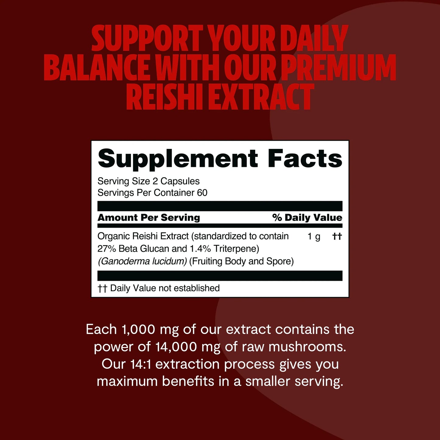 Reishi Mushroom Extract Capsules - Concordia Style Boutique
