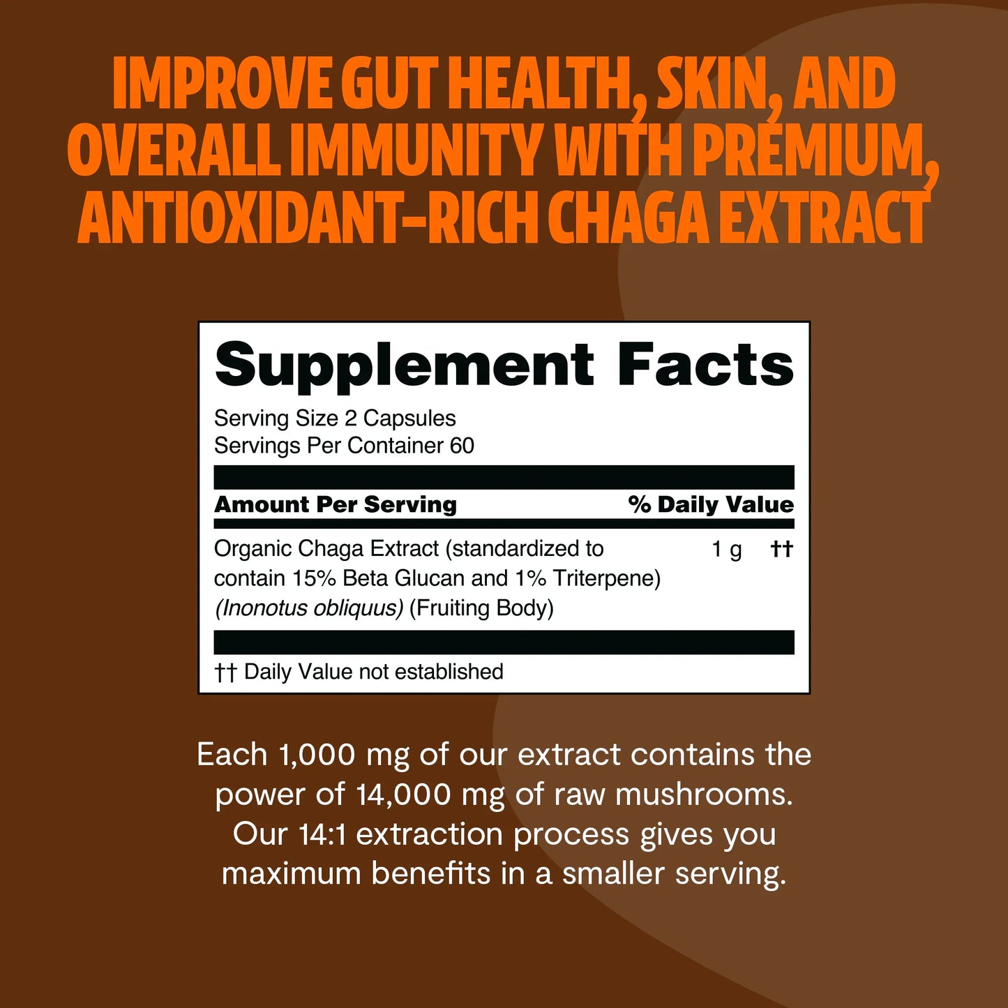 Chaga Mushroom Extract Capsules - Concordia Style Boutique