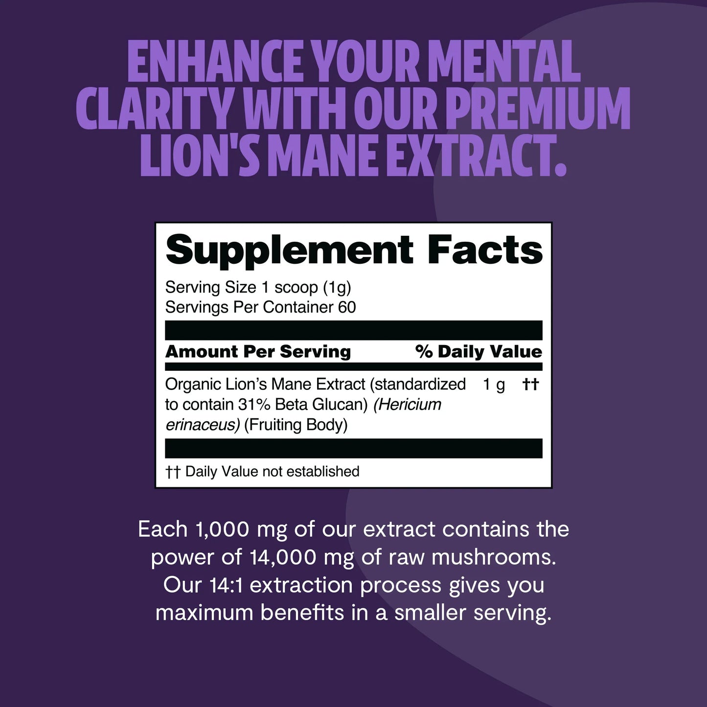 Lion's Mane Mushroom Extract Powder - Concordia Style Boutique