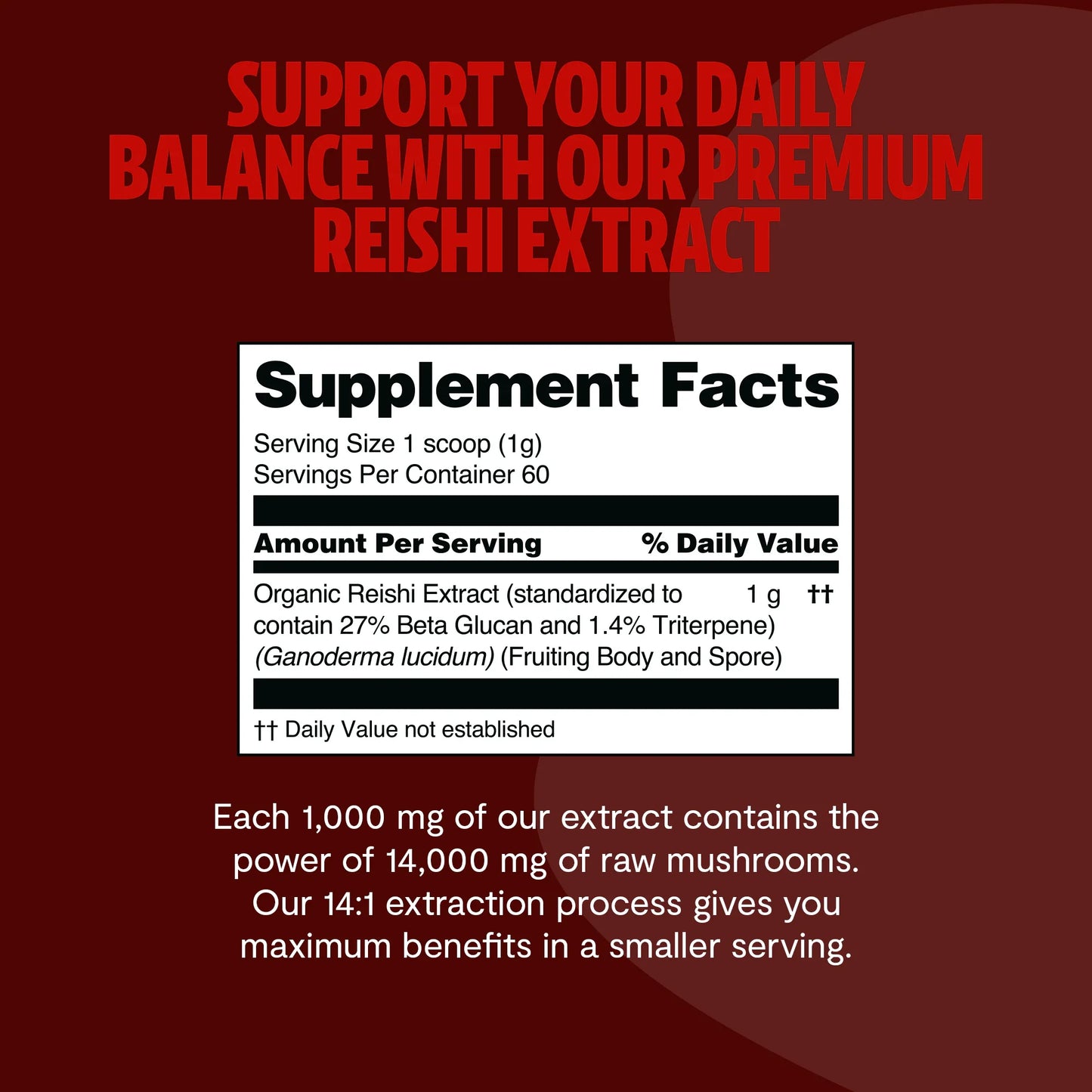 Reishi Mushroom Extract Powder - Concordia Style Boutique