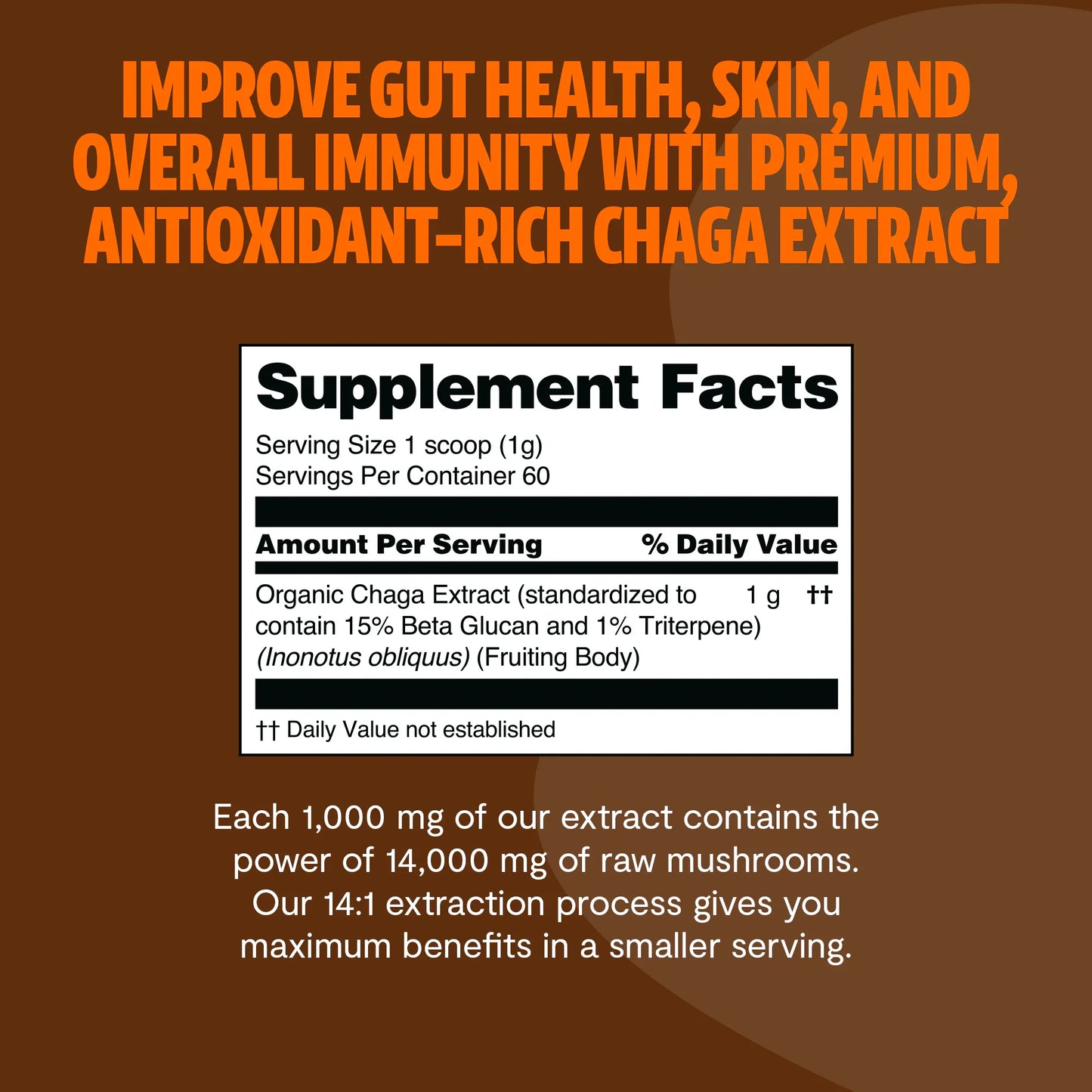 Chaga Mushroom Extract Powder - Concordia Style Boutique