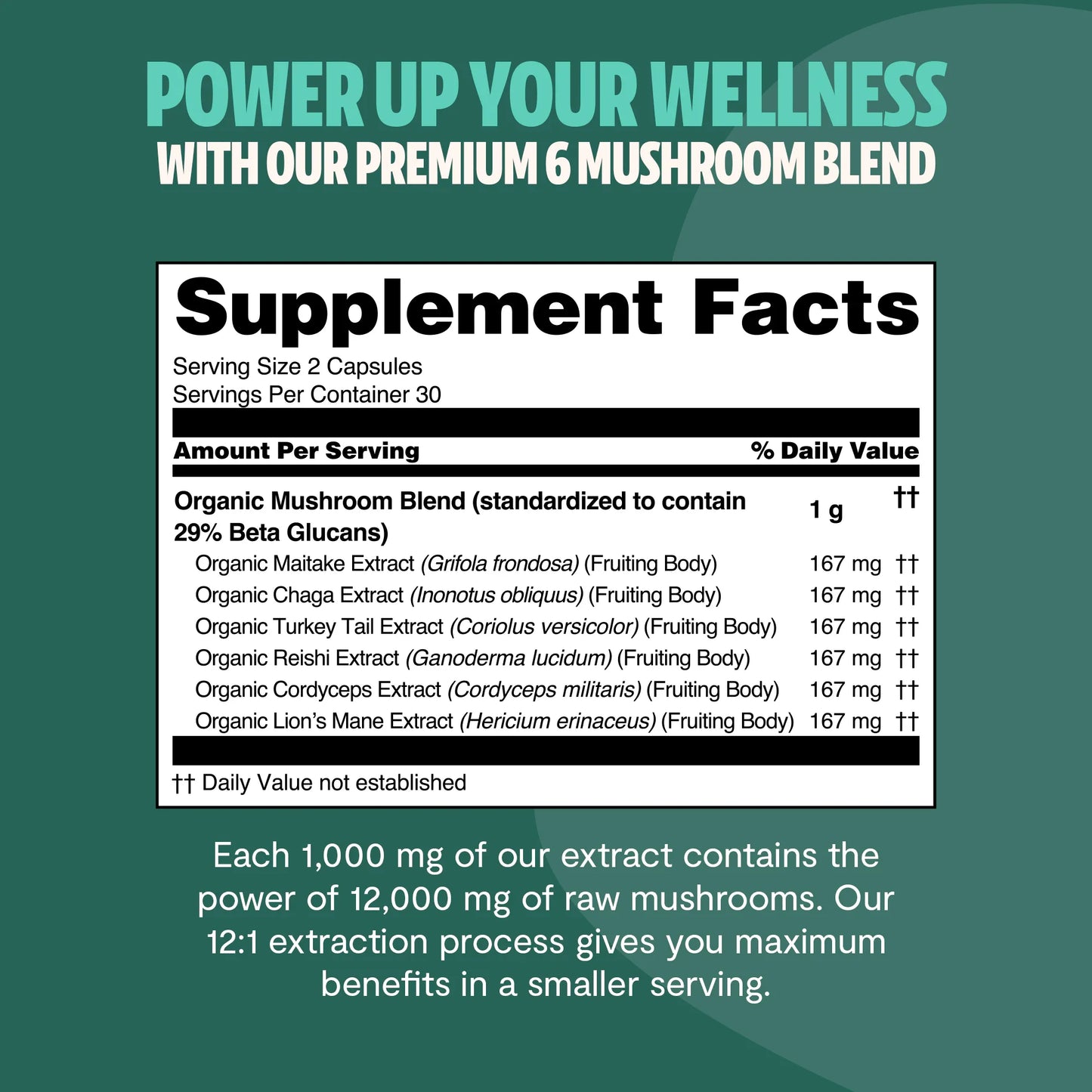 Ultimate Mushroom Complex Capsules - Concordia Style Boutique