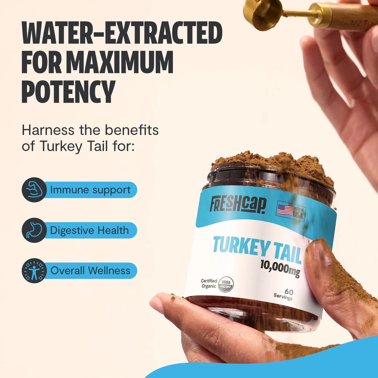 Turkey Tail Mushroom Extract Powder - Concordia Style Boutique