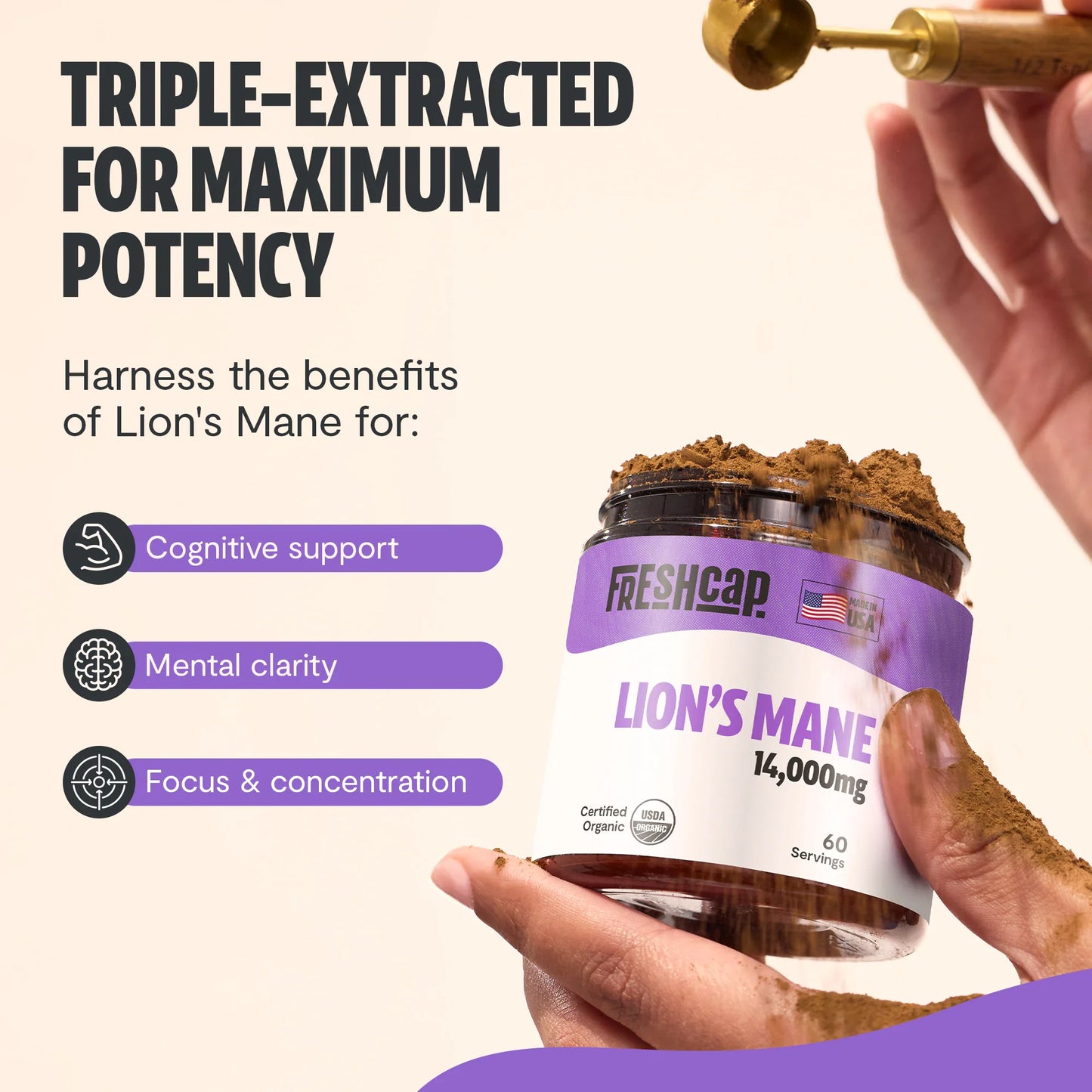 Lion's Mane Mushroom Extract Powder - Concordia Style Boutique