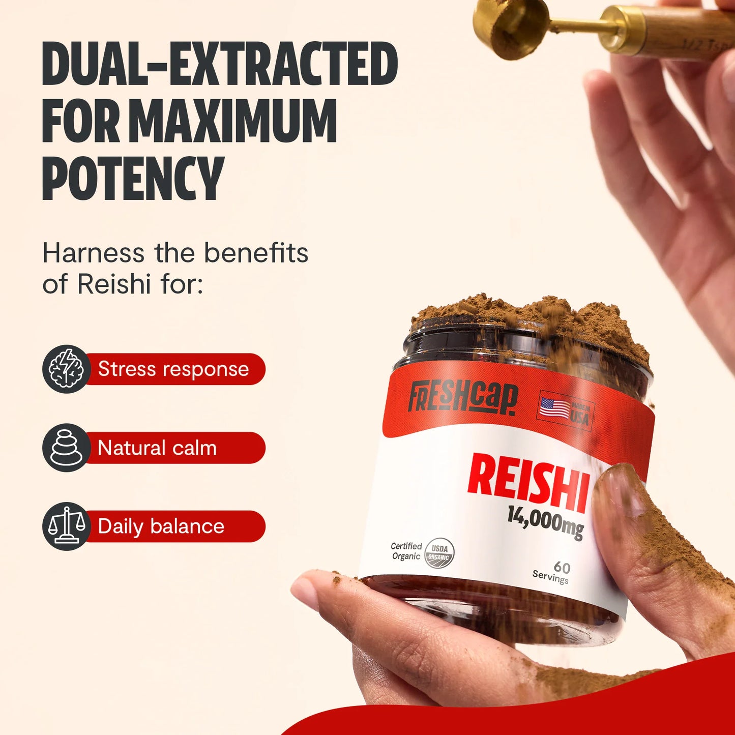 Reishi Mushroom Extract Powder - Concordia Style Boutique