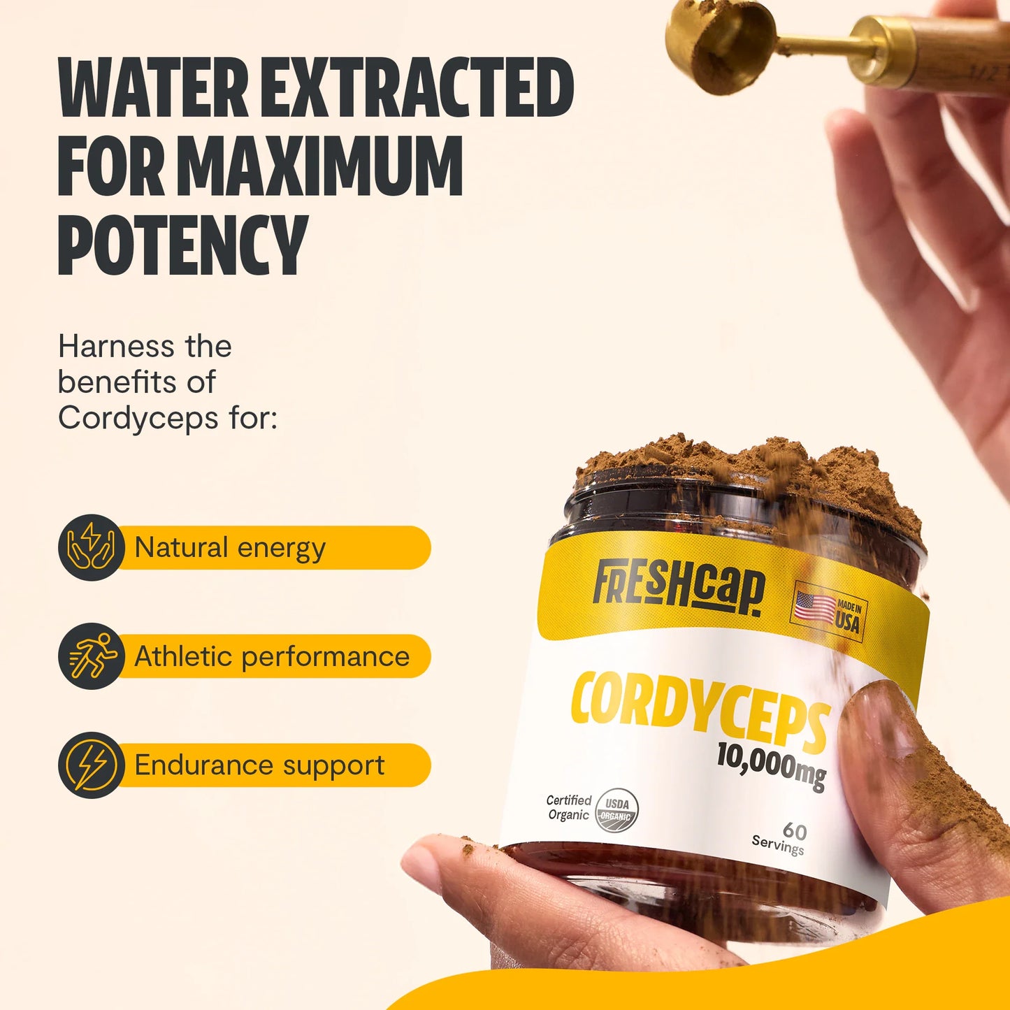 Cordyceps Mushroom Extract Powder - Concordia Style Boutique