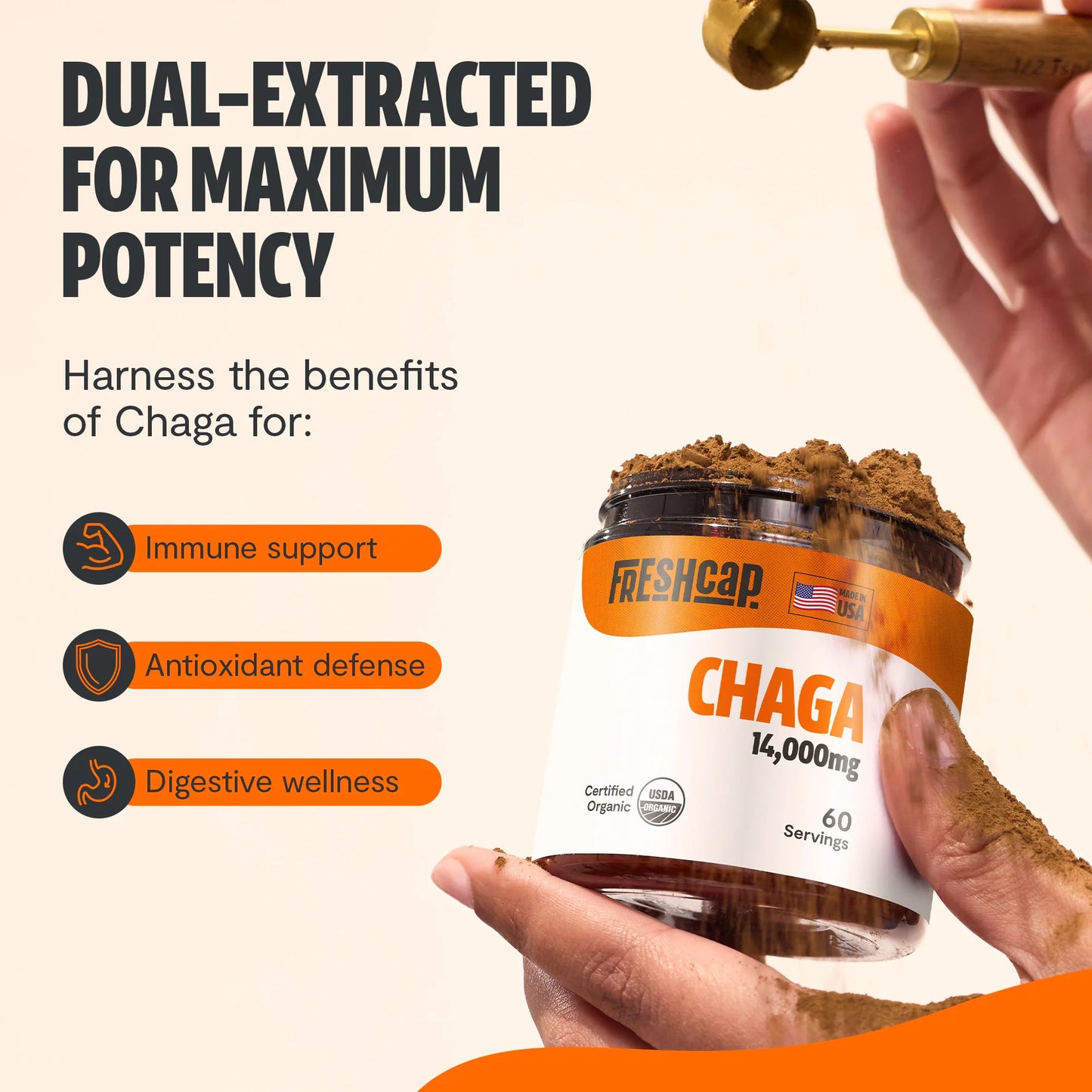 Chaga Mushroom Extract Powder - Concordia Style Boutique