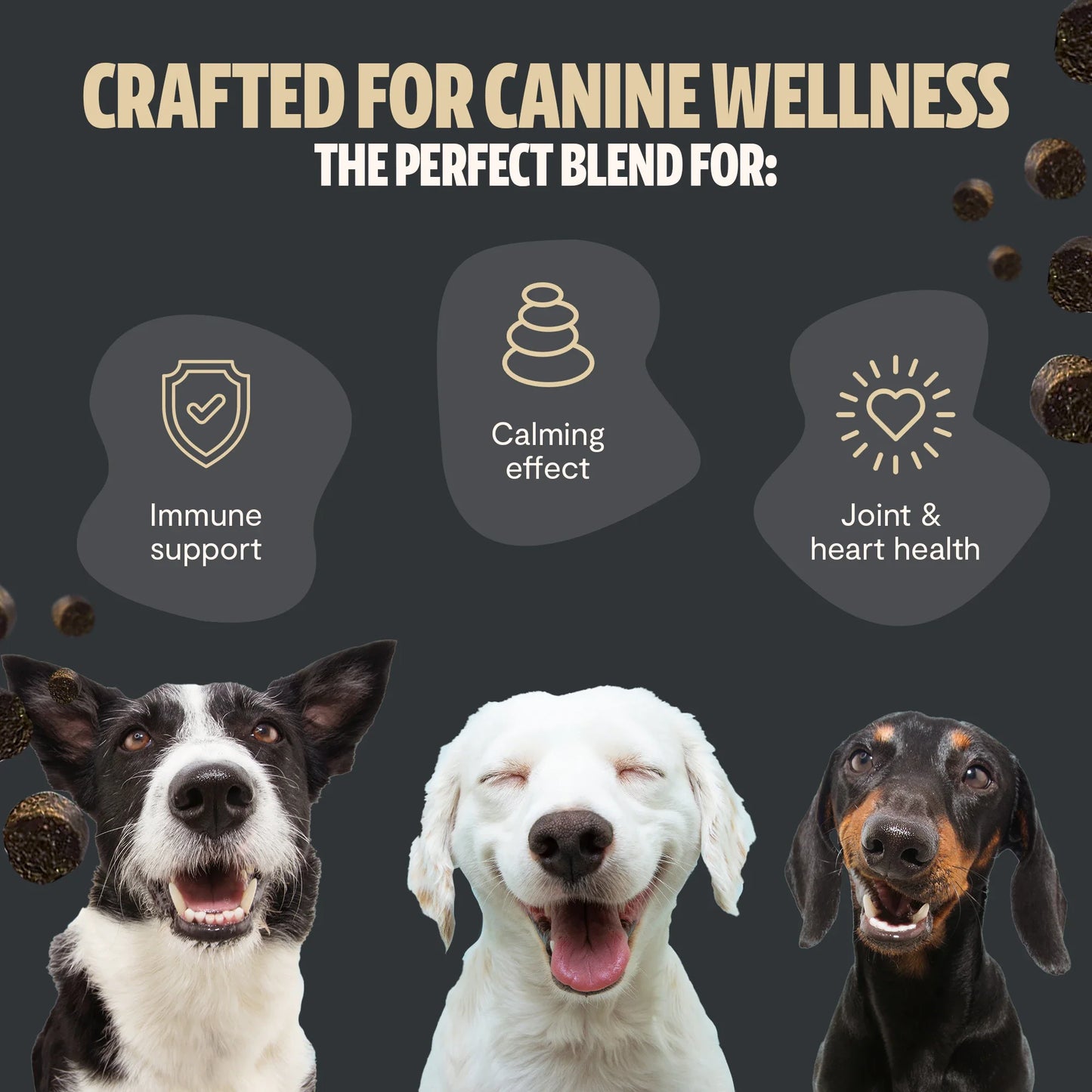 Shroomies® - Mushrooms For Dogs - Concordia Style Boutique