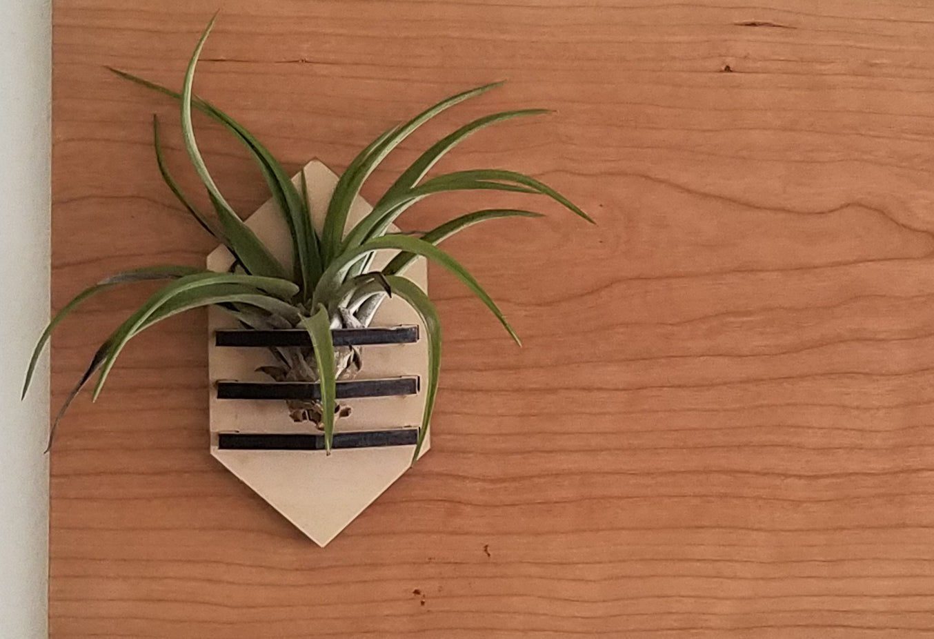 Geometric Air Plant Holder - Concordia Style Boutique