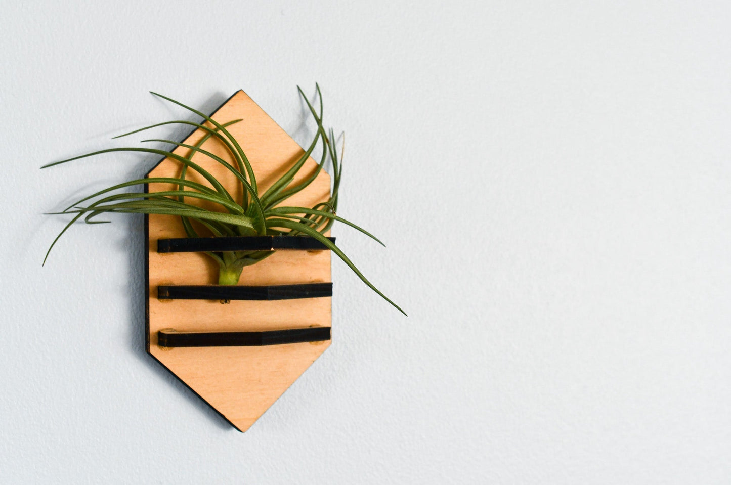 Geometric Air Plant Holder - Concordia Style Boutique