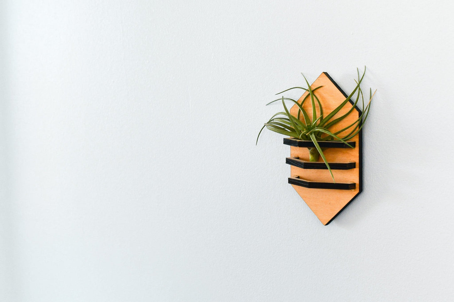 Geometric Air Plant Holder - Concordia Style Boutique