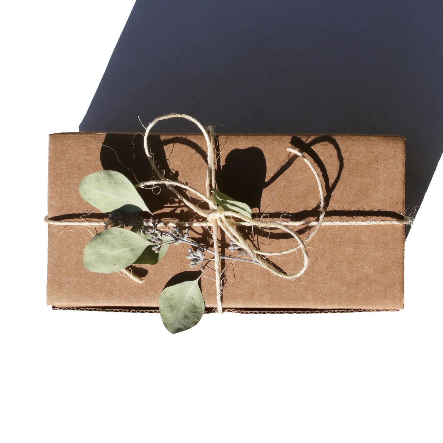 Complete Mask Gift Set - Concordia Style Boutique