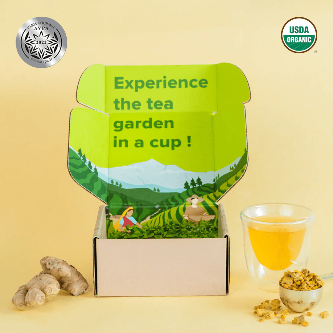 Golden Turmeric Ginger - Concordia Style Boutique