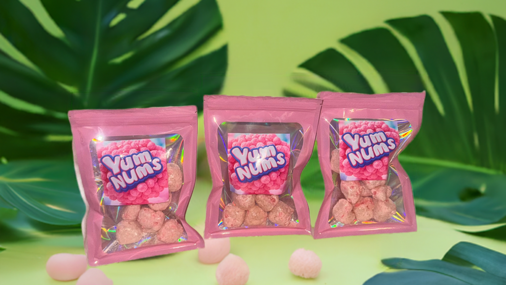 🍉 Watermelon YumNums Freeze-Dried Candy – 3-Pack of Crunchy, Juicy, Handcrafted Goodness - Concordia Style Boutique