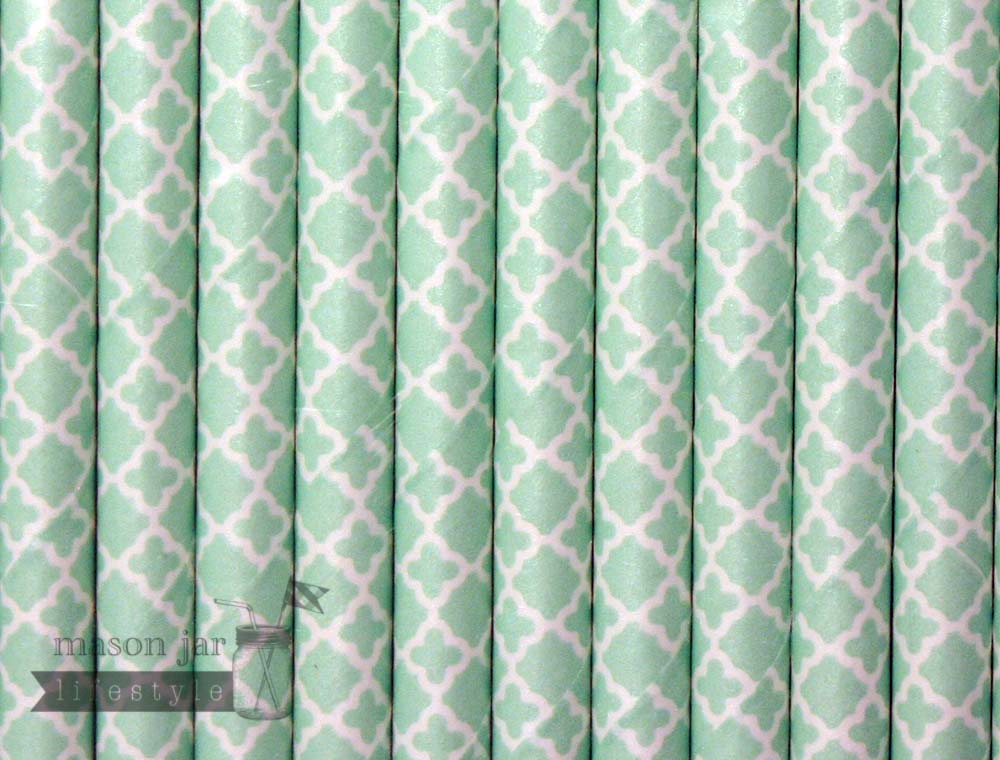 Random 24 Pack Paper Straws - Concordia Style Boutique