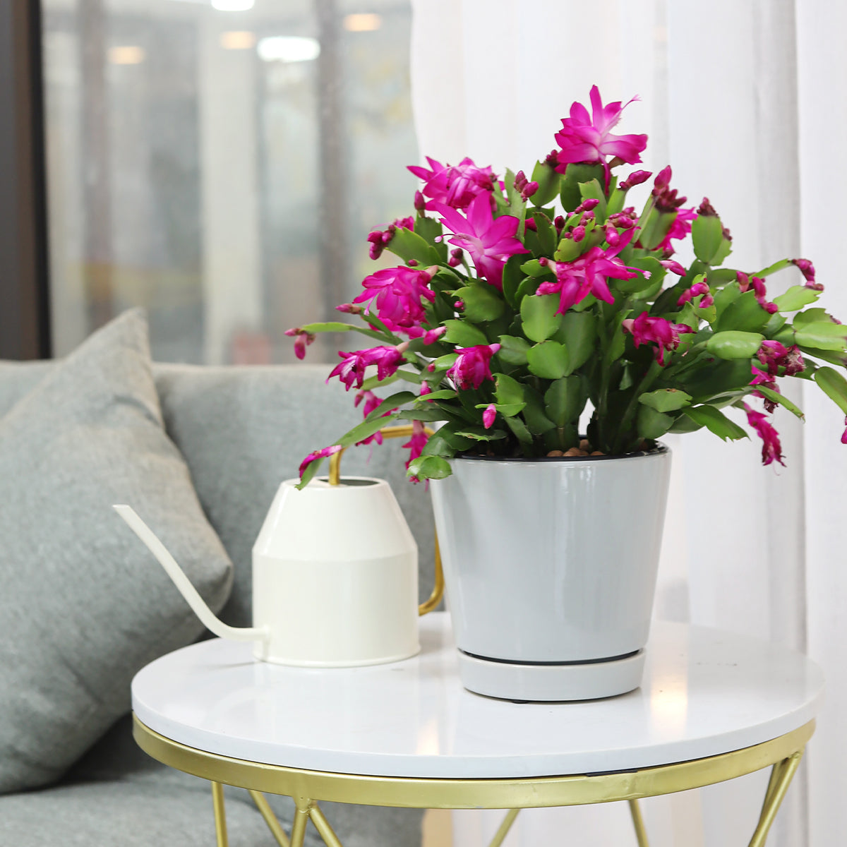 Pack of 3 x 6" Minimalist Pots with Saucer (White, Gray and Oatmeal)