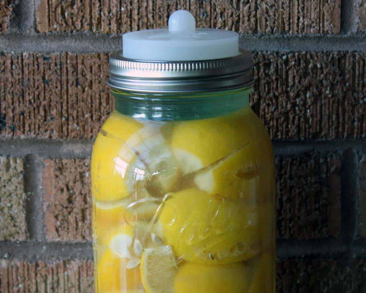 Silicone Fermentation Airlock Valve Lid With SS Band for Wide Mouth Mason Jars - Concordia Style Boutique