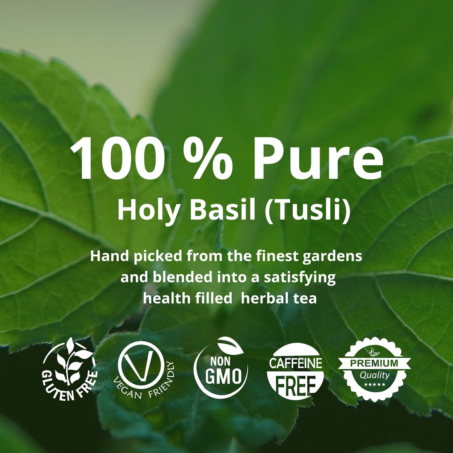 Akshit Holy Basil Tea ( Tulsi tea ) ( 75 Tea Bags), Made with Pure Dried Holy Basil Tea Leaves Immune Support Tea, Caffeine-free, Non-Gmo, Tulsi Tea.