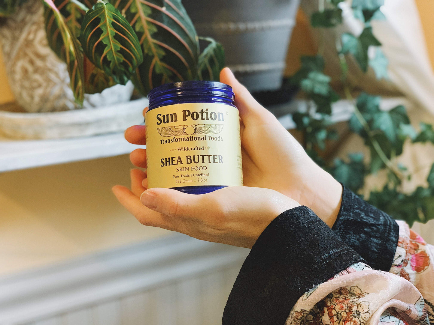 Shea Butter (Wildcrafted) - Concordia Style Boutique