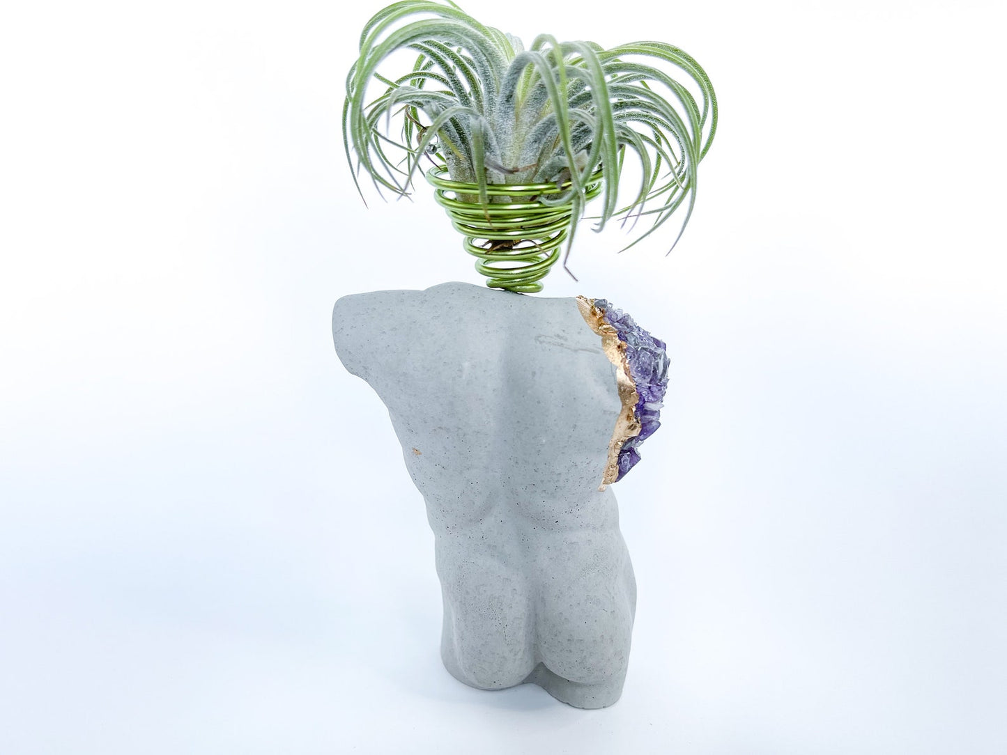 MALE BODY AIR PLANT HOLDER - Concordia Style Boutique