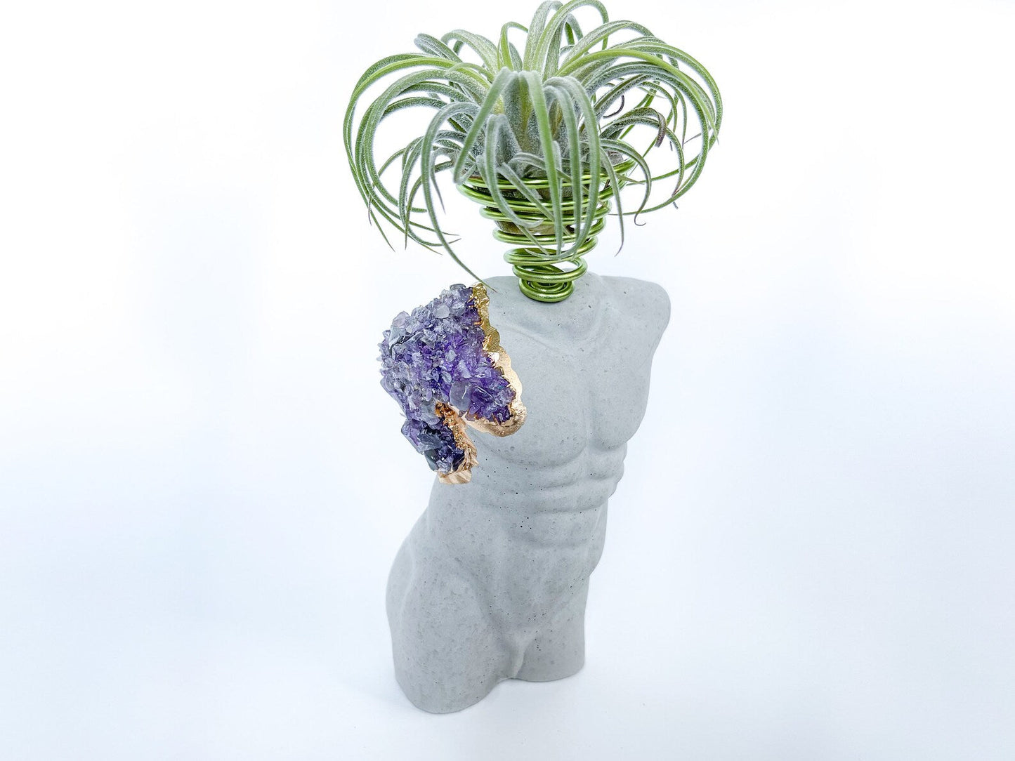 MALE BODY AIR PLANT HOLDER - Concordia Style Boutique