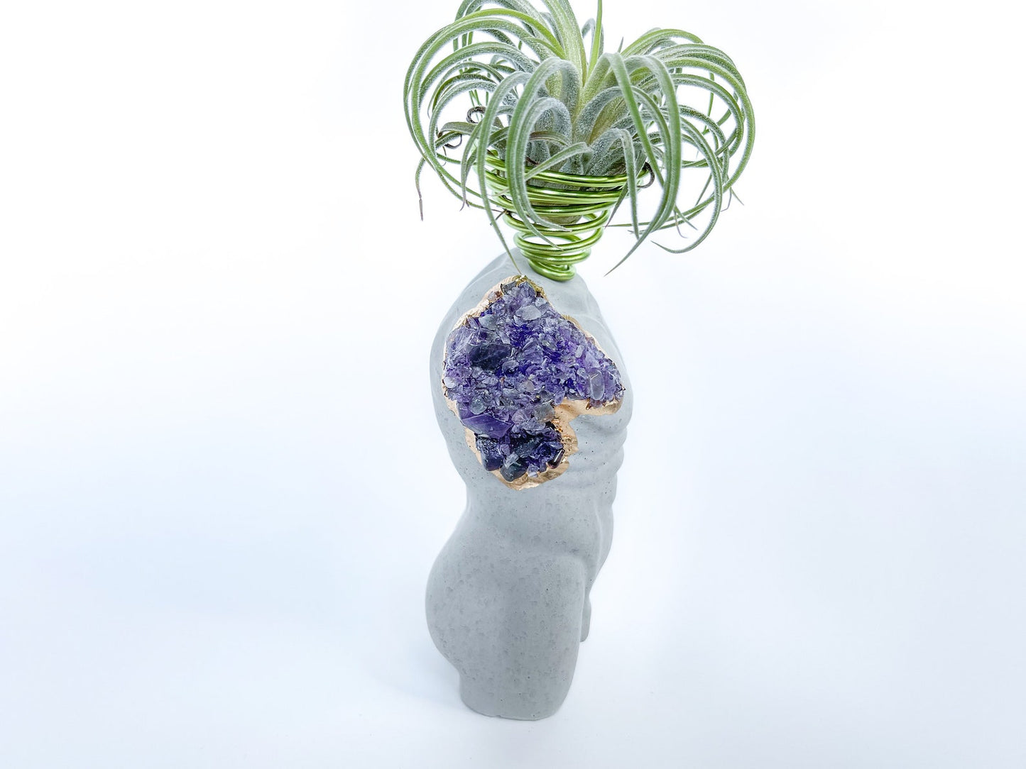 MALE BODY AIR PLANT HOLDER - Concordia Style Boutique