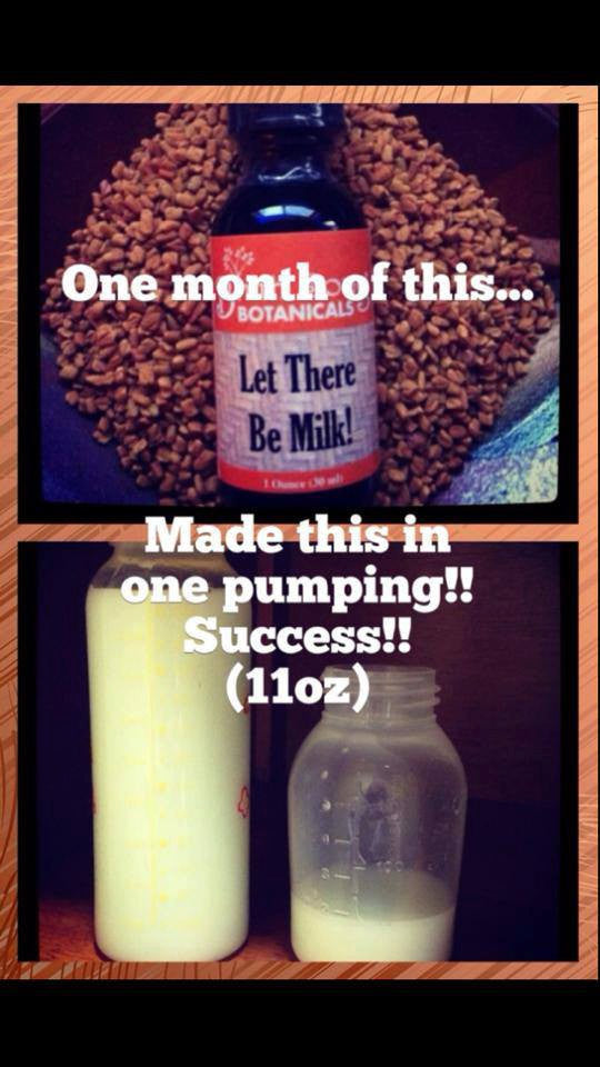 Let There Be Milk! Herbal Breastfeeding Supplement to Promote Healthy Breastmilk Production 1 oz. - Concordia Style Boutique