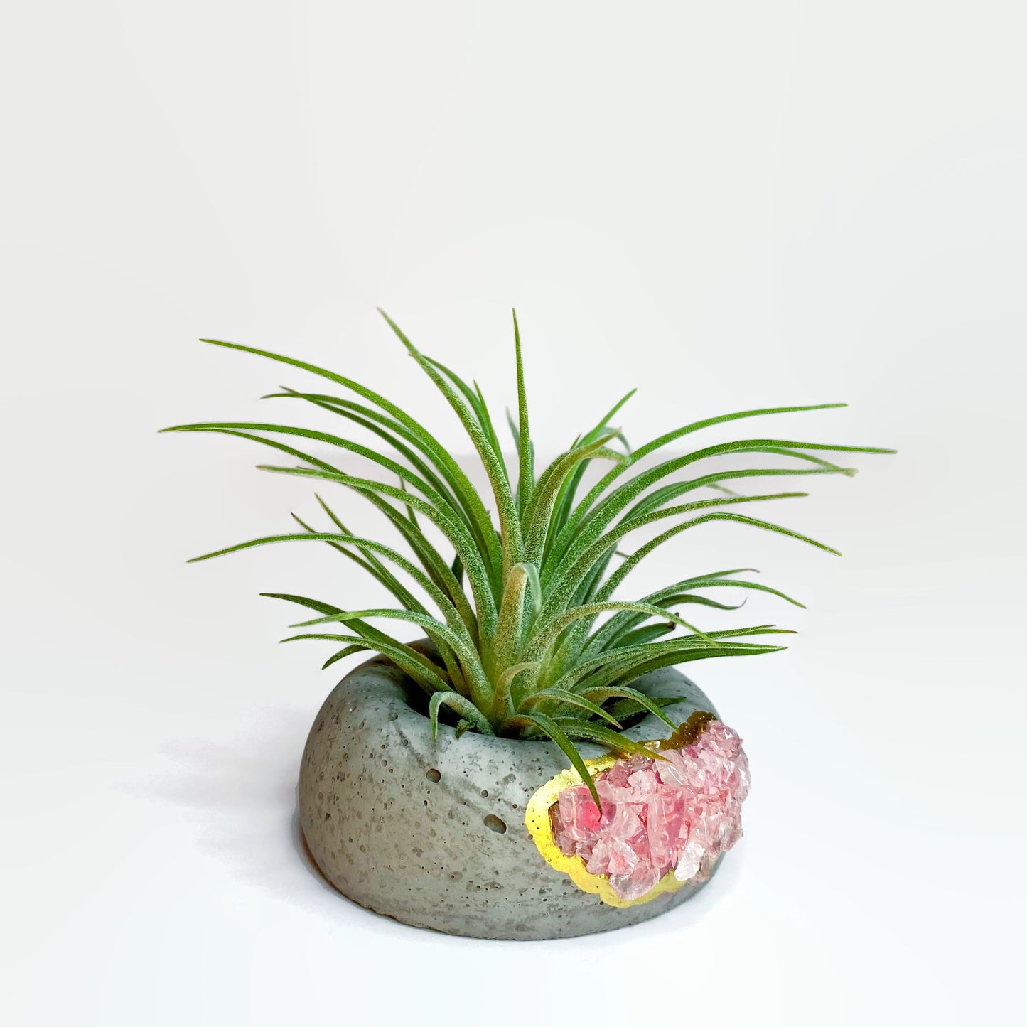 Geode Air Plant Holder -Rose Quartz Crystal Planter - Concordia Style Boutique