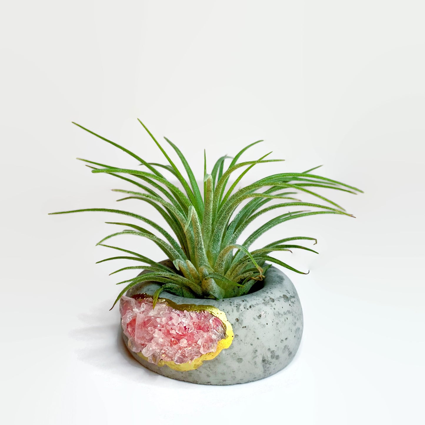 Geode Air Plant Holder -Rose Quartz Crystal Planter - Concordia Style Boutique