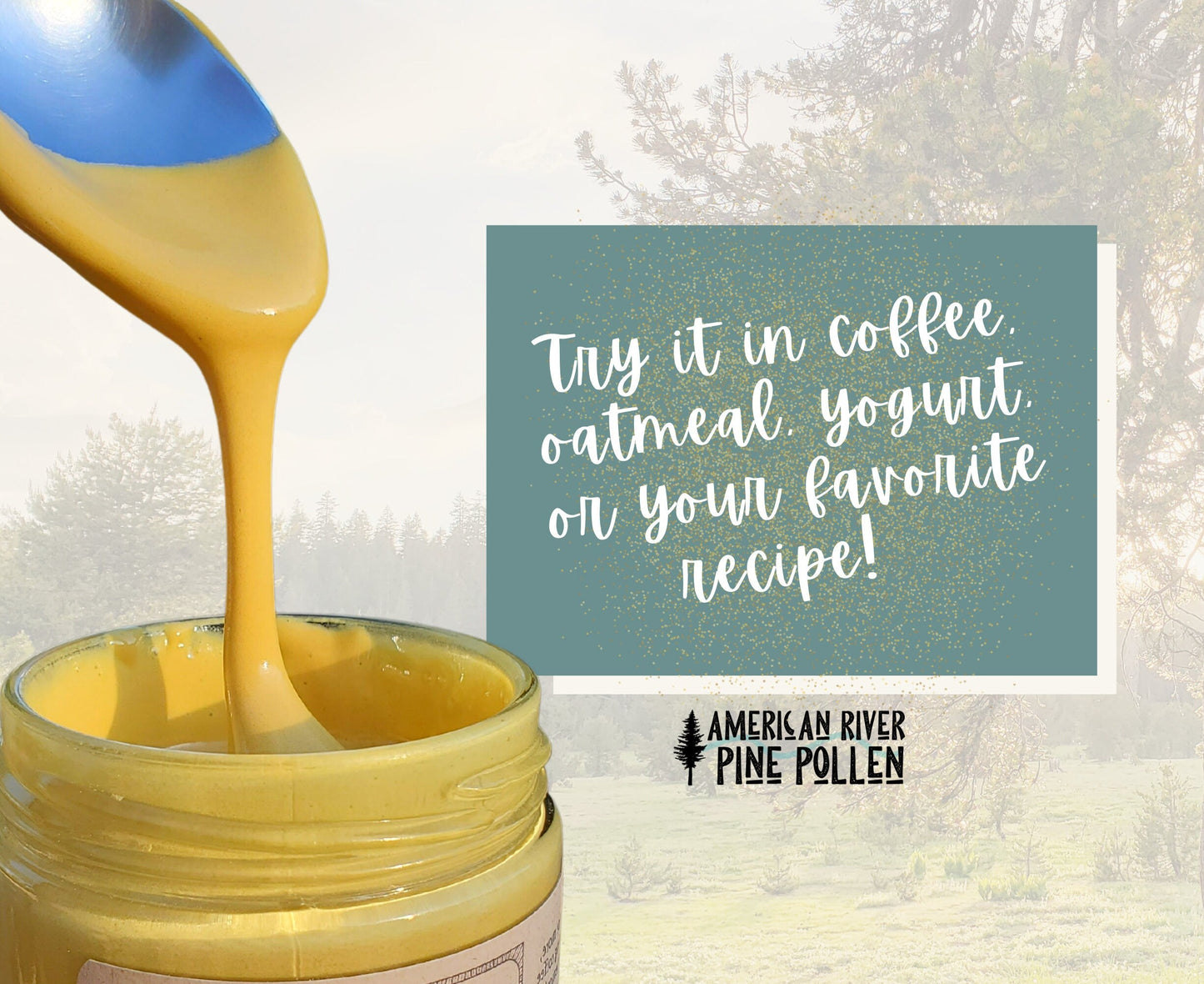 Liquid Gold - Wildcrafted Raw Pine Pollen and Honey - Traditional Blend with Pine Synergy