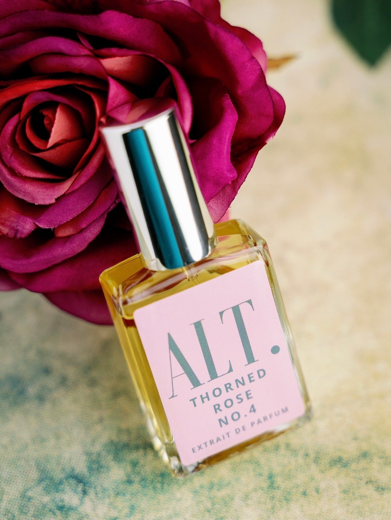 Thorned Rose - Concordia Style Boutique