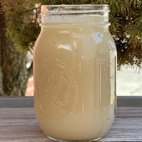 Wildcrafted Plain Sea moss Gel - Concordia Style Boutique