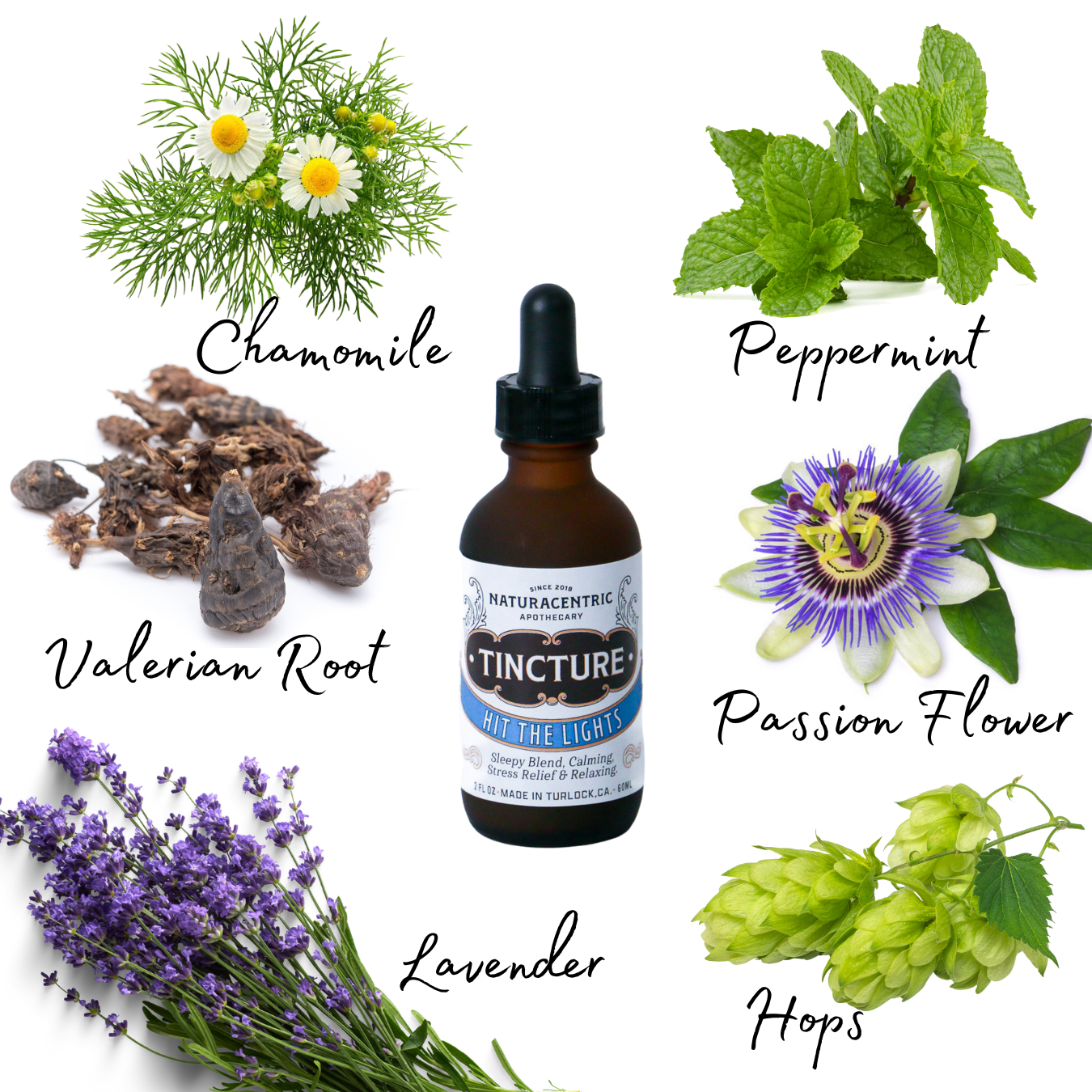Hit the Lights Tincture - Concordia Style Boutique