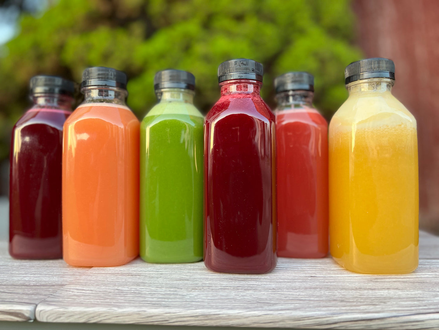 Gut Health Juice - Green Juice - Concordia Style Boutique
