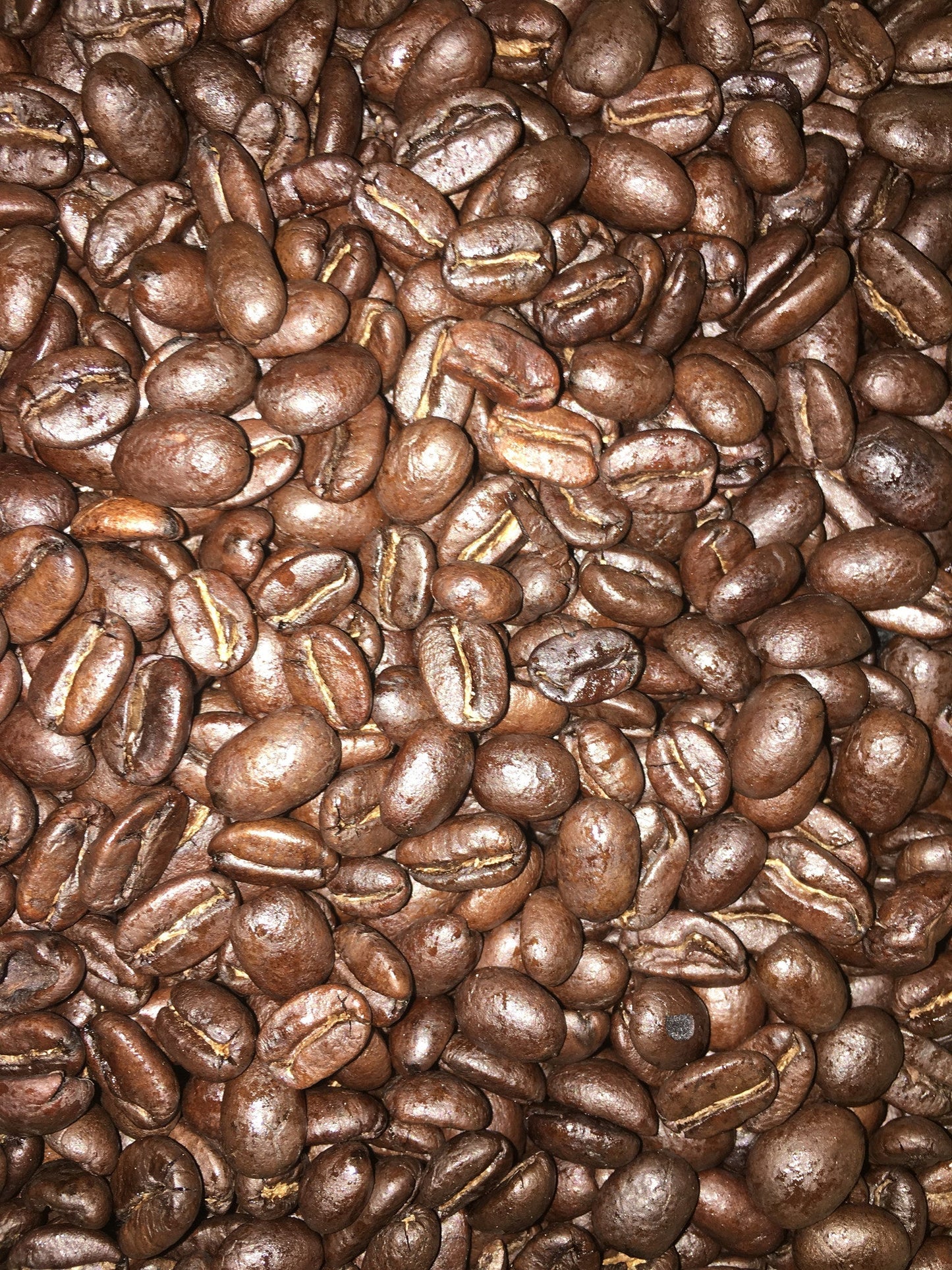 European Espresso Blend Coffee - Concordia Style Boutique
