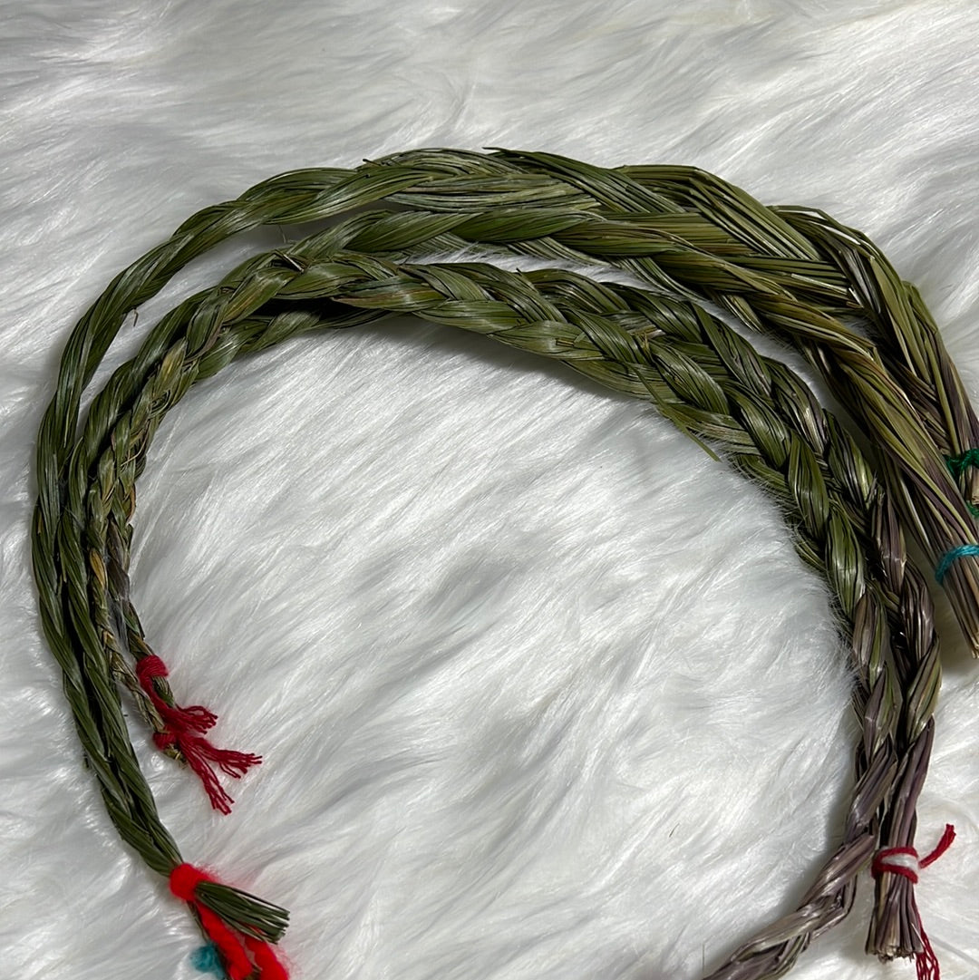 Braided Sweetgrass bundles - Vanilla grass 18 inches - Concordia Style Boutique