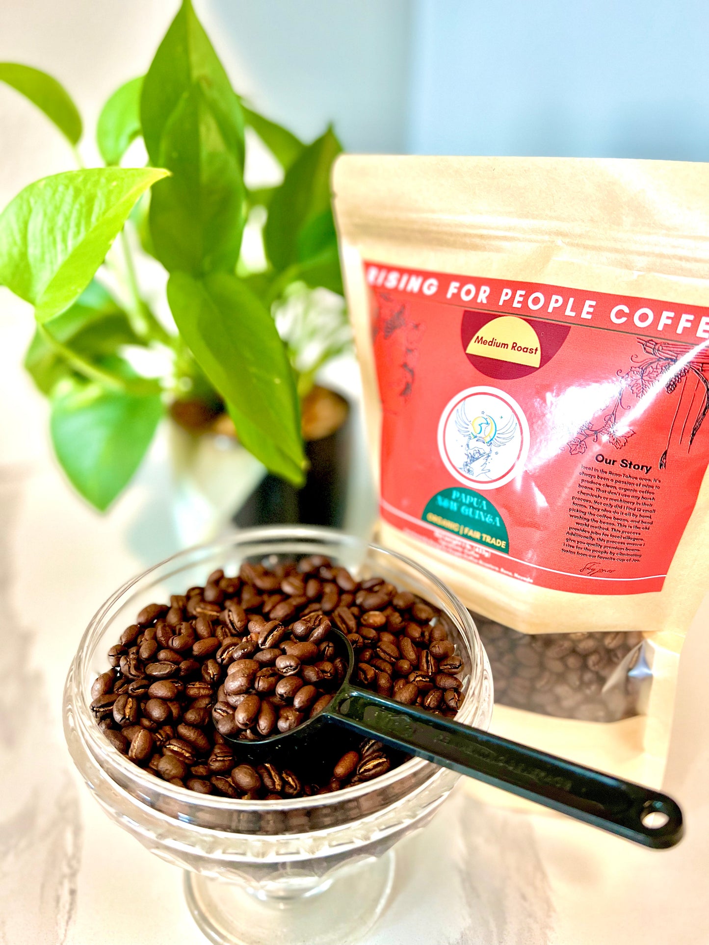 Papua New Guinea Coffee Roast - Concordia Style Boutique