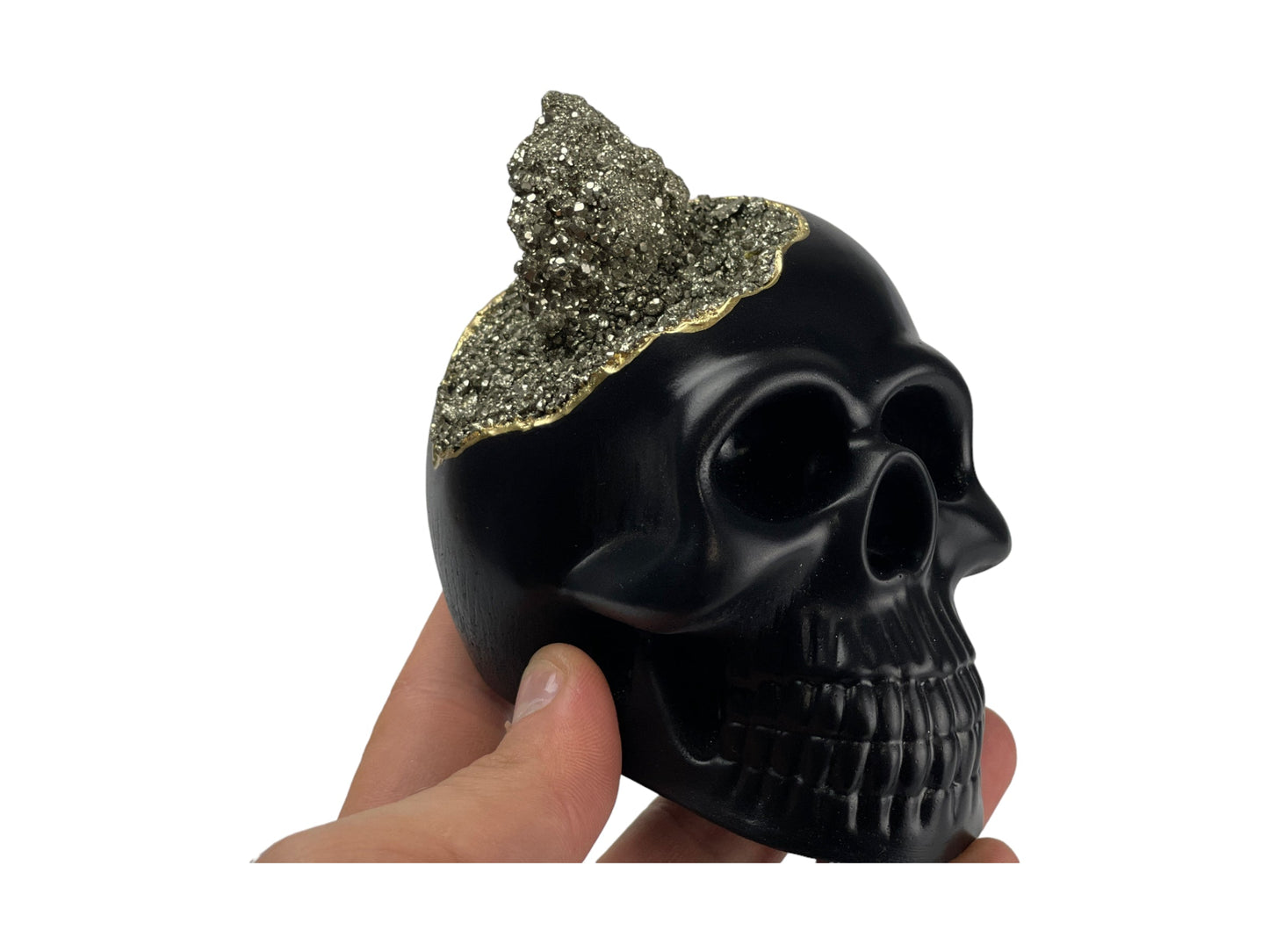 Pyrite Skull Head (black) - Concordia Style Boutique
