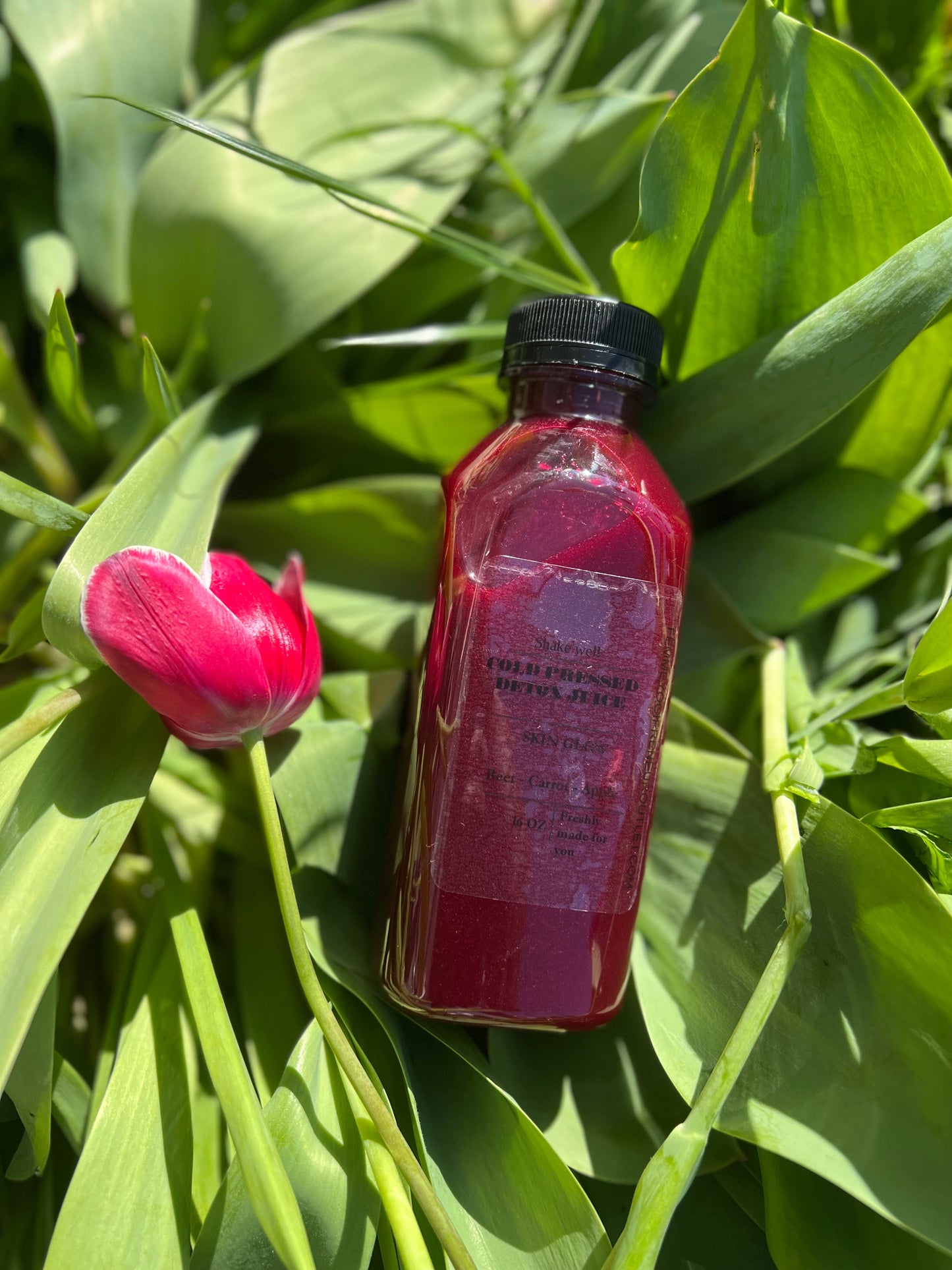 Seven Day Juice Cleanse- Pack of 21 - Concordia Style Boutique
