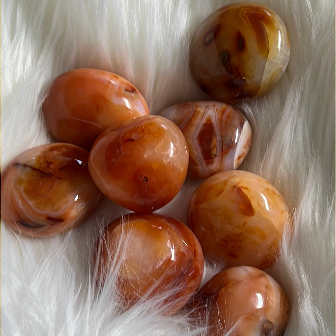 Carnelian Tumble stones - Concordia Style Boutique