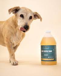 WHOLE NATURALS- Pure Castile Soap Liquid - EWG Verified & Certified Palm Oil Free - Concordia Style Boutique