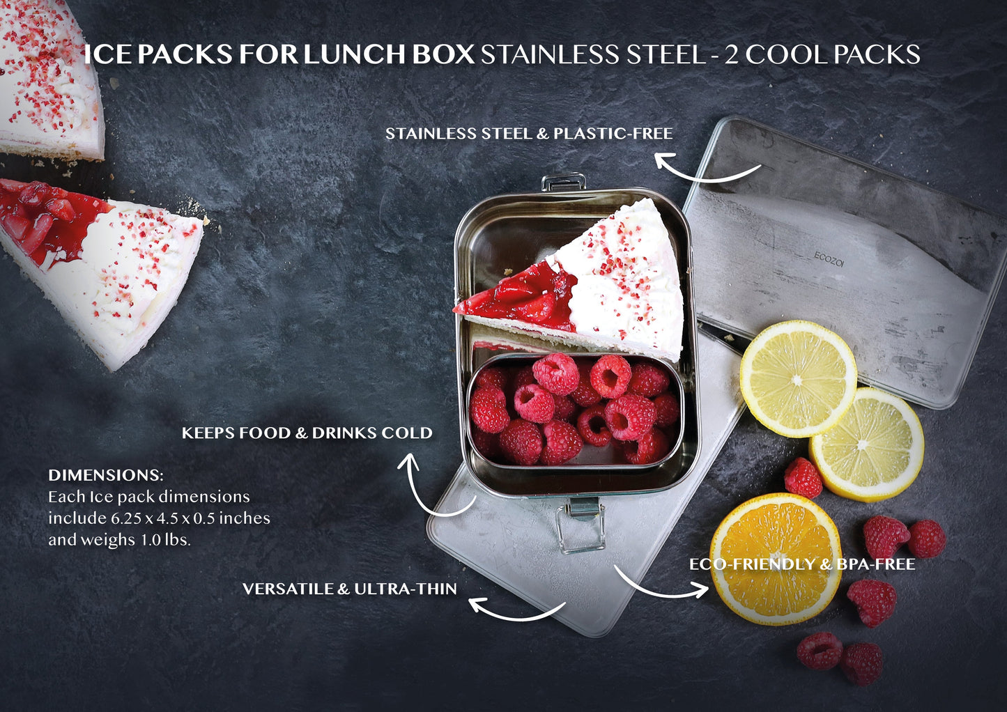 Stainless Steel Freezer PACKS FOR LUNCH Boxes and Lunch Bags, 2 Pack - Concordia Style Boutique